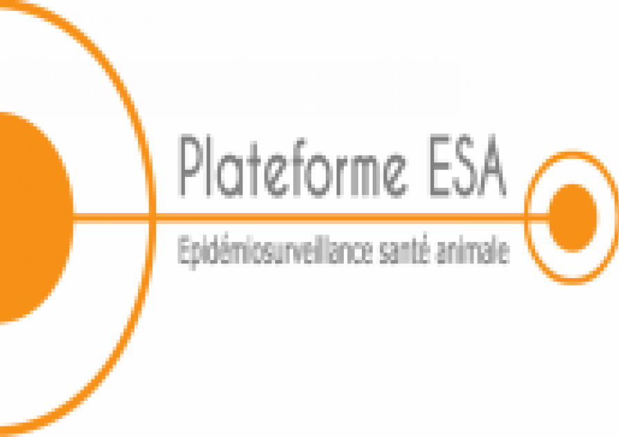 Logo vsi Plateforme ESA