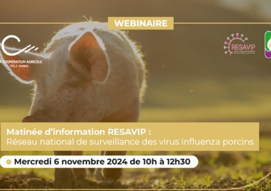 webinaire résavip