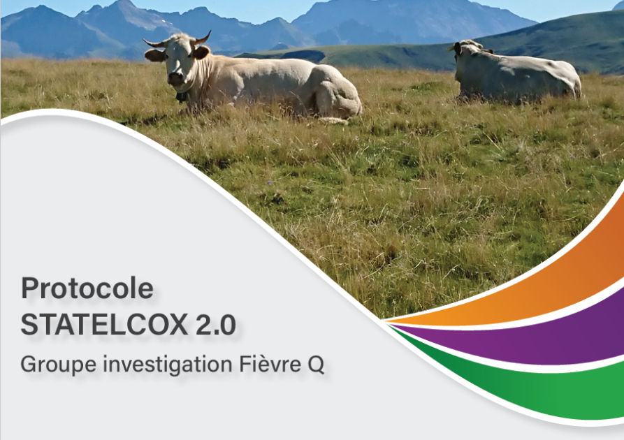 chapo_protocole_statelcox
