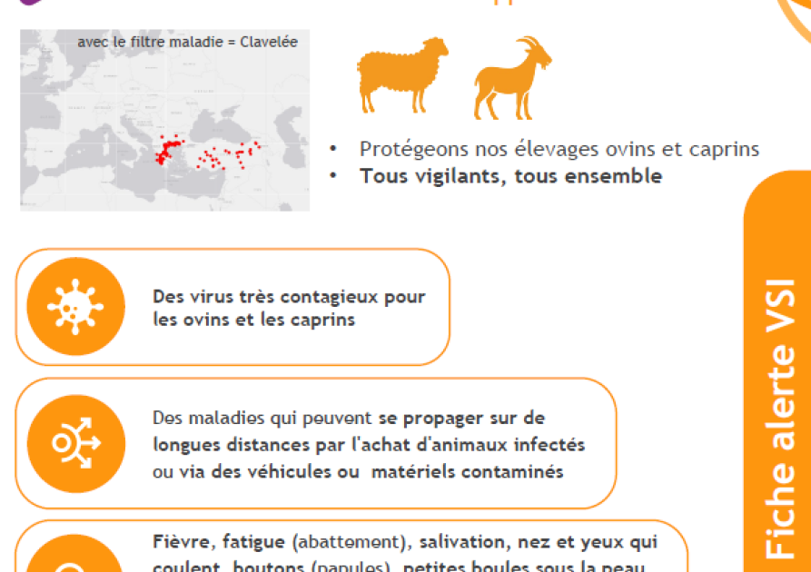 nouvelle version de la fiche alerte CVC