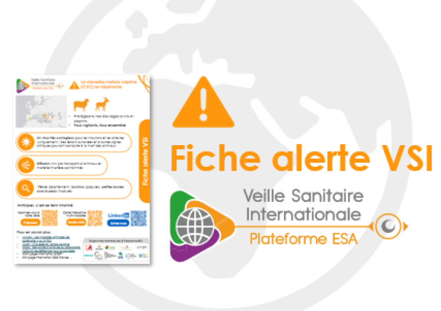  Nom vignette_fiche_alerte_chapo