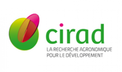 Cirad logo