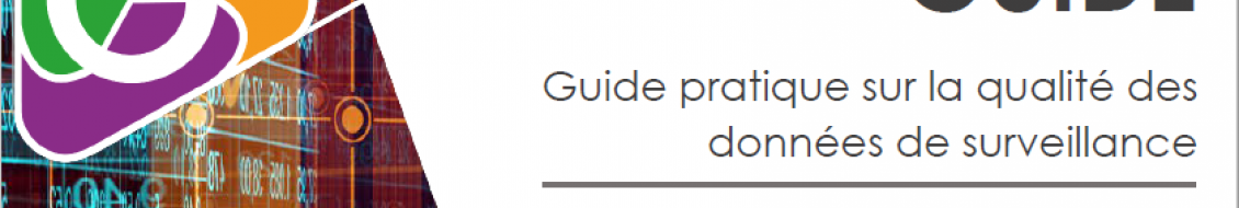 Guide Qualité de données