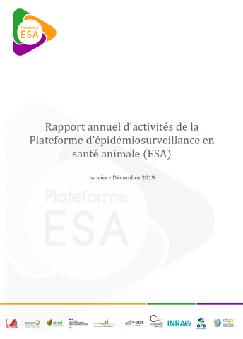 Page de garde rapport d'activités 2019
