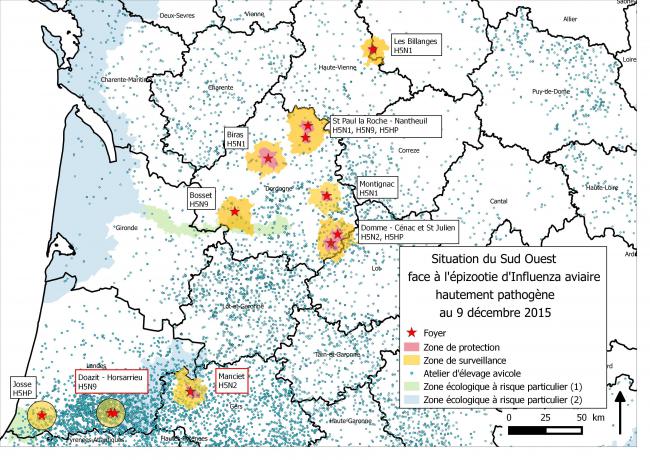 Figure 1 Zones réglementées et foyers d'influenza aviaire hautement pathogène en France