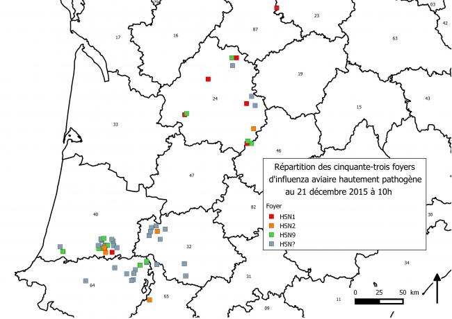 Figure 1 Répartition des foyers en fonction de la souche d'influenza aviaire hautement pathogène dans le Sud-Ouest