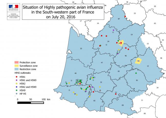 Figure 3  Localisation des foyers d'influenza aviaire hautement pathogène déclarés en France.