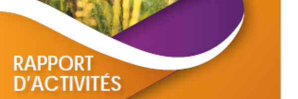 rapport_activite_2024