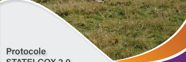 chapo_protocole_statelcox