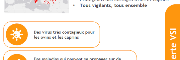 nouvelle version de la fiche alerte CVC