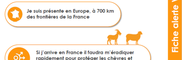 Qui suis-je?